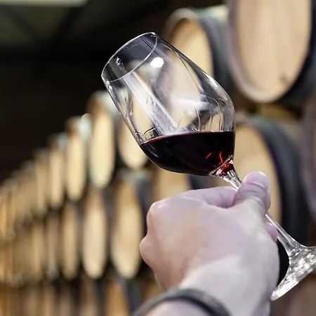 Style & Comfort I Balcony & Parking * Oporto